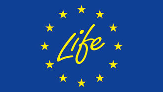 Life + Logo