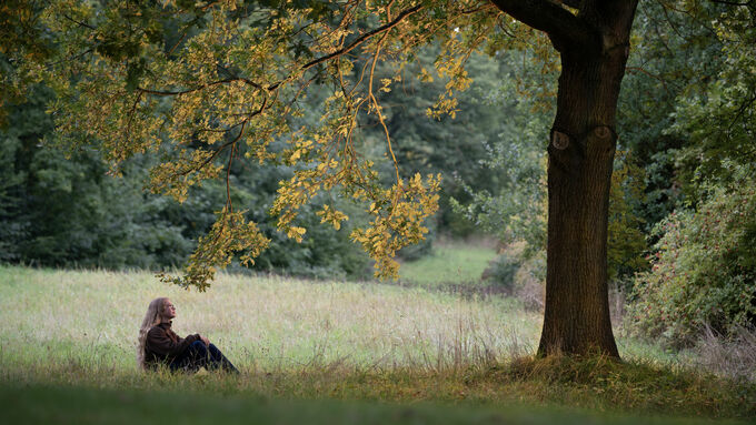 Jugendlicher sitzt auf der Wiese vor einem Baum