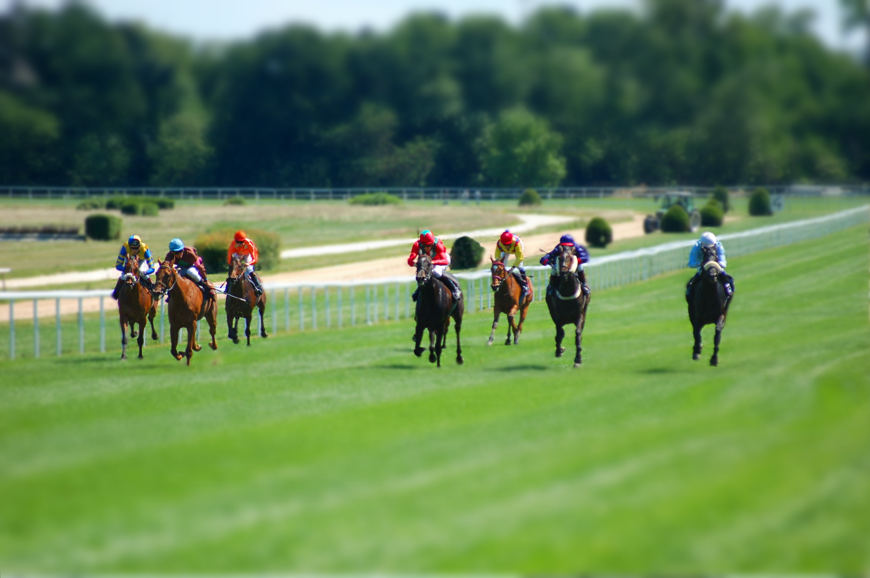 Mehrere Reiter:innen liefern sich ein Pferderennen