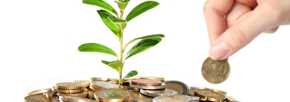 Am Boden liegen viele Münzen aus deinen ein kleiner grüner Baum wächst. Eine Hand hebt eine Münze auf.