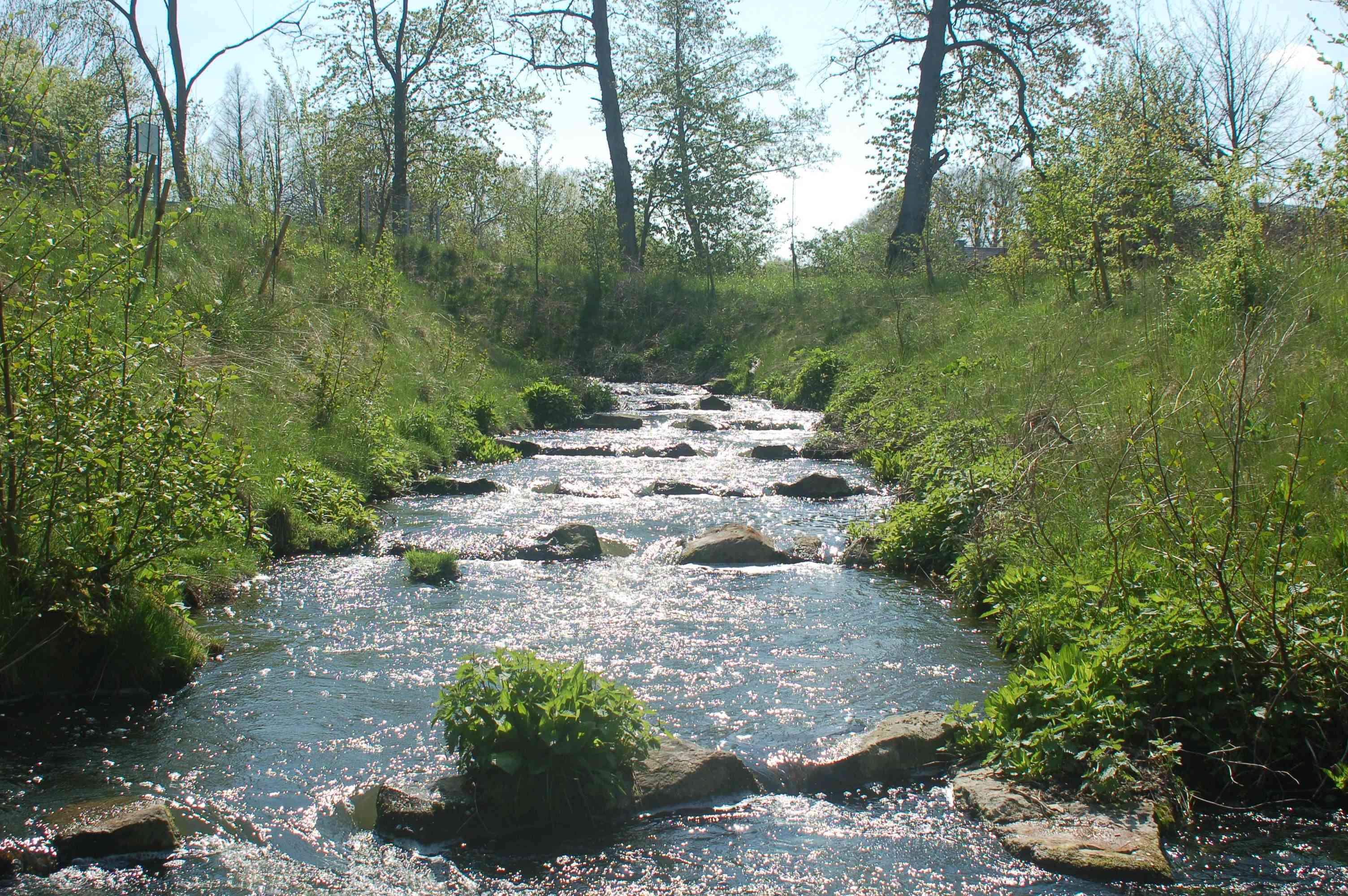 Die Fischaufstiegsanlage Alfers Mühle/Berkel (Gescher) führt als Raugerinne-Beckenpass um die Wehranlage an der Alfers Mühle herum. 