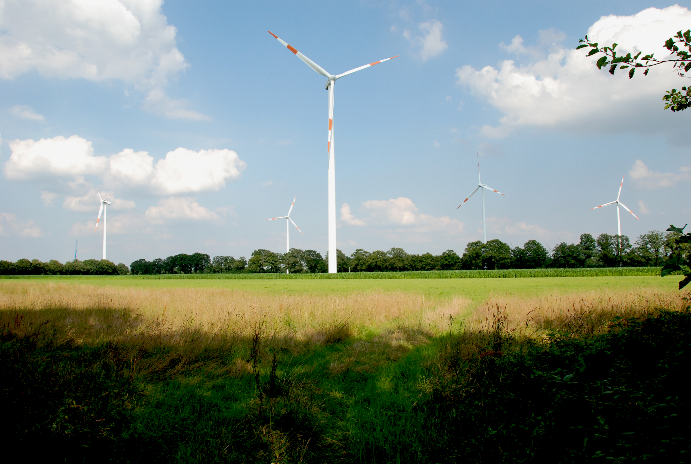 Windräder in der Landschaft