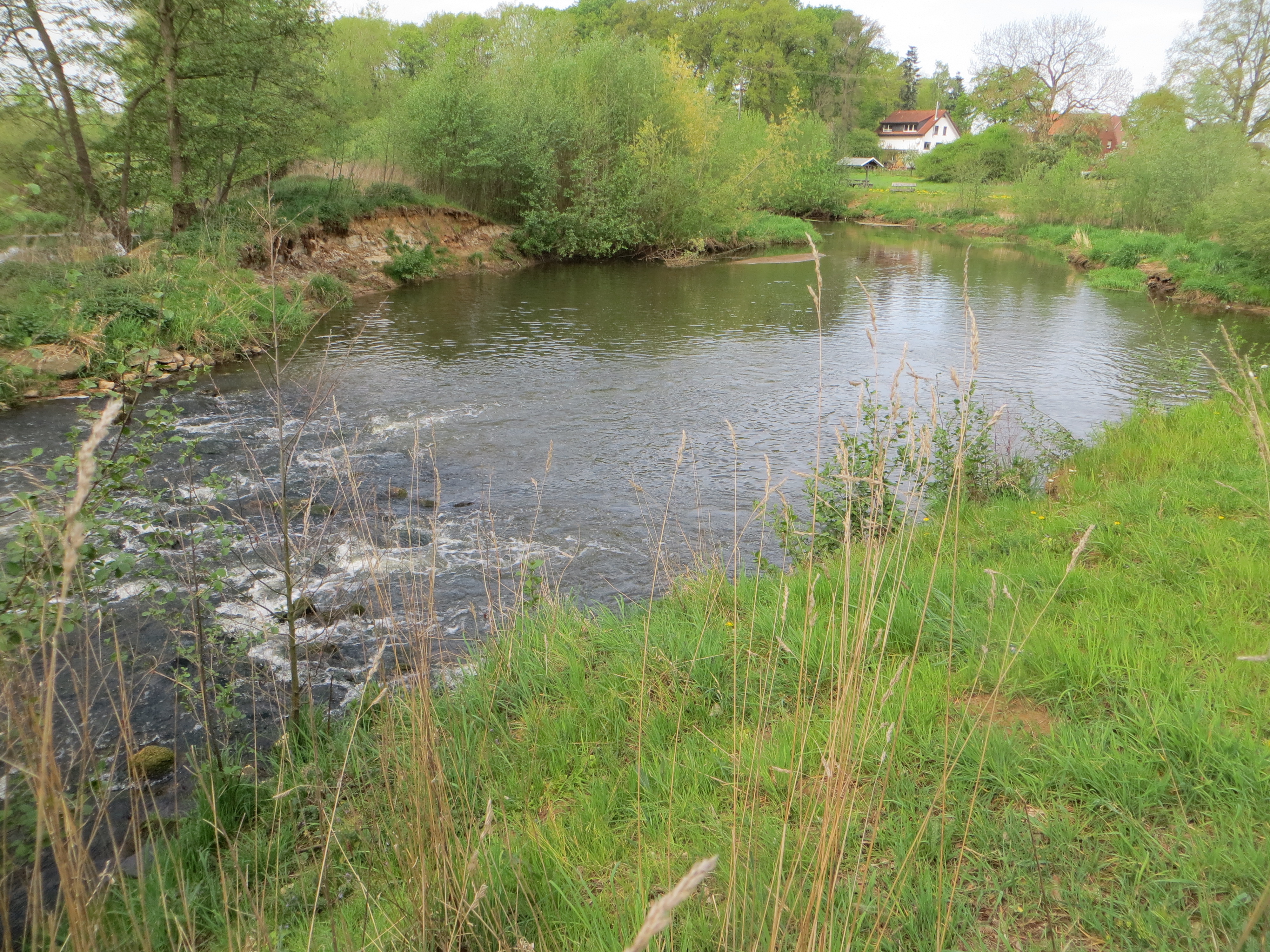 Zu sehen ist eine Detailanasicht der Hessel, in der ein vorhandener Sohlabsturz durch eine Neutrassierung des Gewässers umgangen werden konnte. So konnte den Organismen die Durchwanderbarkeit ermöglicht werden. Über eine Sekundäraue wird zudem mehr Raum für die Entwicklung der Hessel zur Verfügung gestellt. 