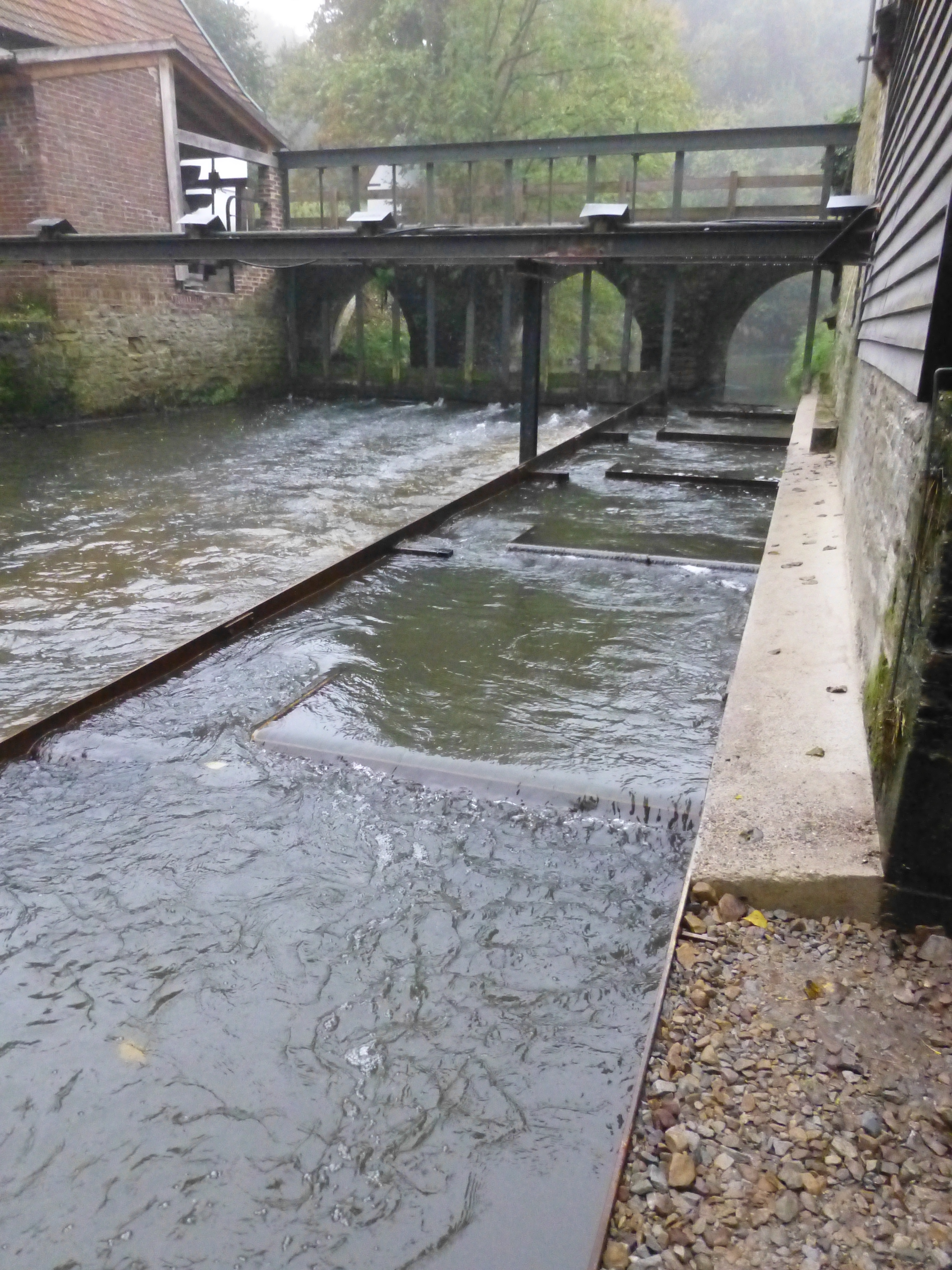 Zu sehen ist eine technische Fischaufstiegsanlage, die an der denkmalgeschützten Wassermühle Bohle in der Düte installiert wurde, um den Fischen die Durchwanderbarkeit zu ermöglichen. 