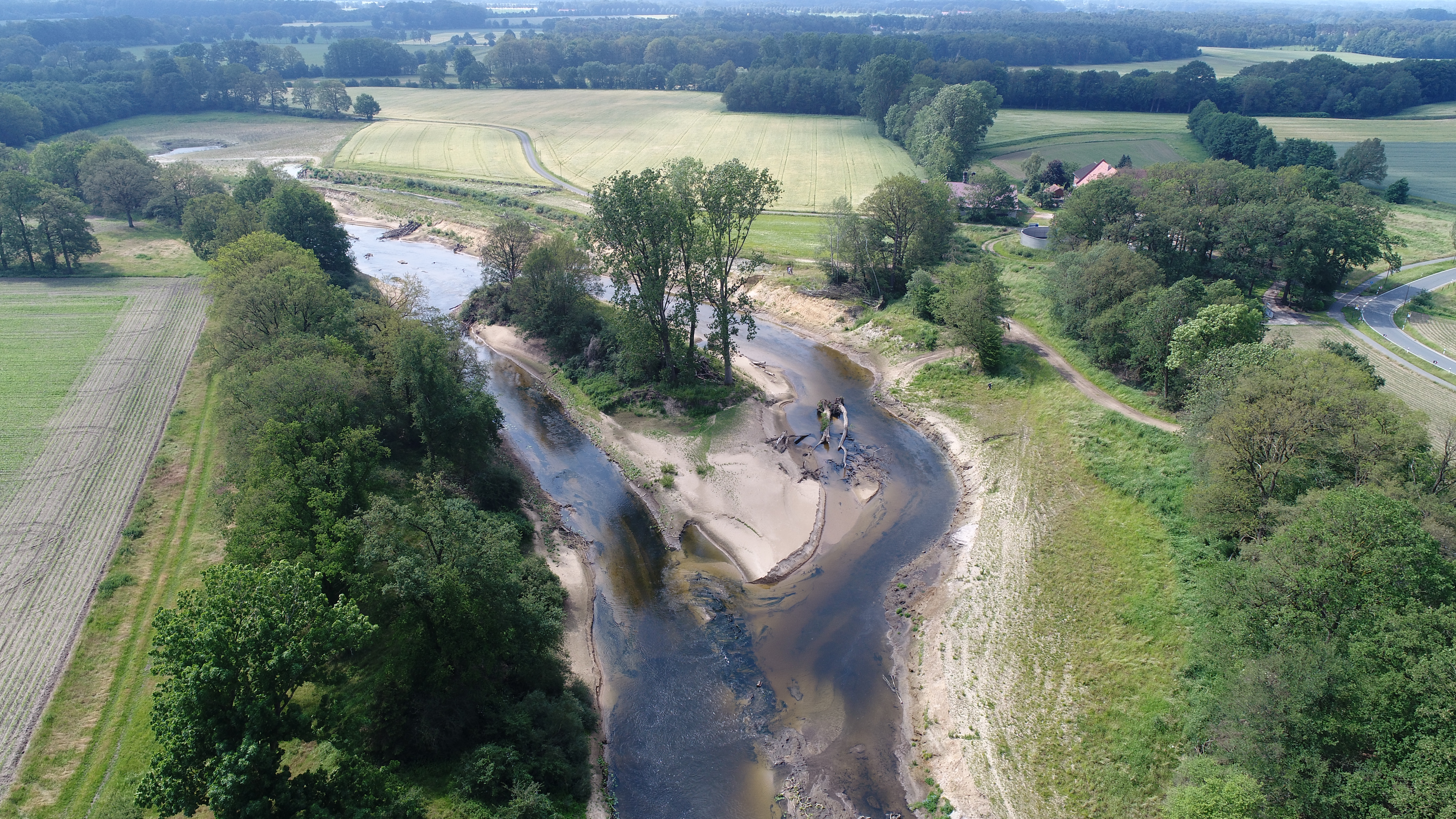 Zu sehen ist die Drohnenaufnahme einer gehlözbestandenen Insel im wieder an die Ems angeschlossenen Altarm Hembergen. Die Gewässersohle weist zahlreiche Strukturen auf, im rechten Seitenarm der Ems liegen zwei Raubäume zur Erhöhung der Strukturvielfalt. Im Umfeld sind landwirtschaftliche Nutzflächen und eine Hofstelle zu erkennen. 