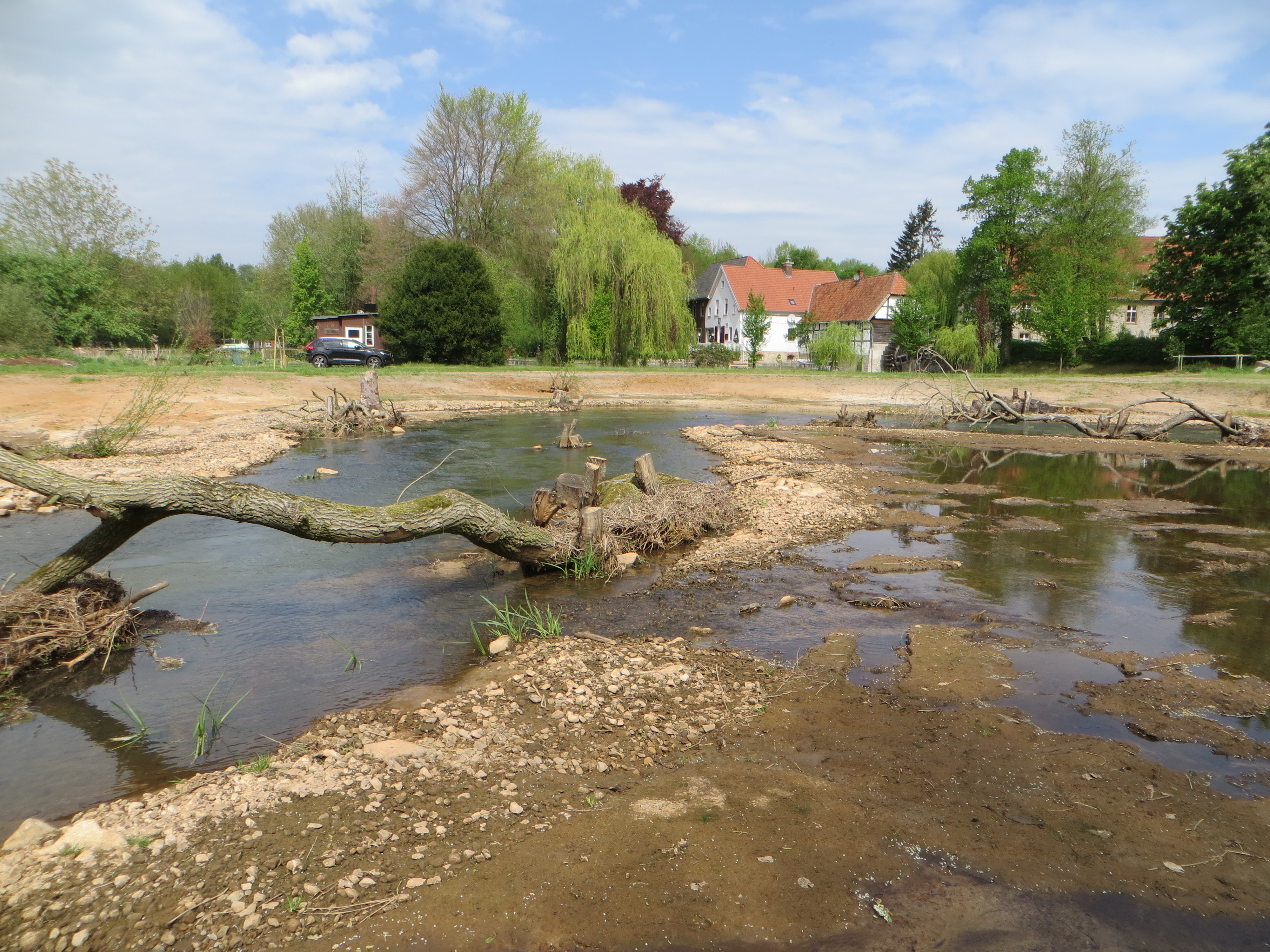 Zu sehen ist die Bever in Warendorf-Milte, deren Lauf verlängert wurde, um einen Sohlabsturz rückbauen und den zugehörigen Höhenunterschied gewässerverträglich abbauen zu können. In das neu gestaltete Raugerinne wurden Wurzelstubben und Raubäume zur Stukturanreicherung eingebracht und mit Holzfpählen im Gewässerbett befestigt. 