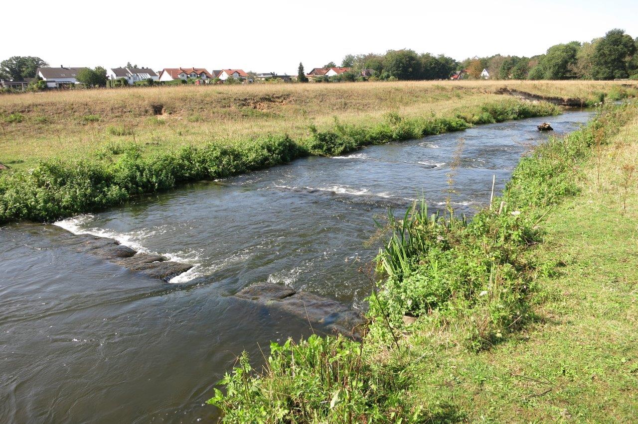 Zu sehen ist ein Abschnitt des Umgehungsgerinnes an der Füchtelner Mühle in Olfen, der in Riegelbauweise ausgeführt wurde. Im Gewässerbett sind die einzelnen Steinriegel und ihre Öffnungen zu erkennen, die den Organismen die Durchwanderbarkeit ermöglichen. Im Hintergrund ist die Wohnbebauung von Olfen zu sehen. 