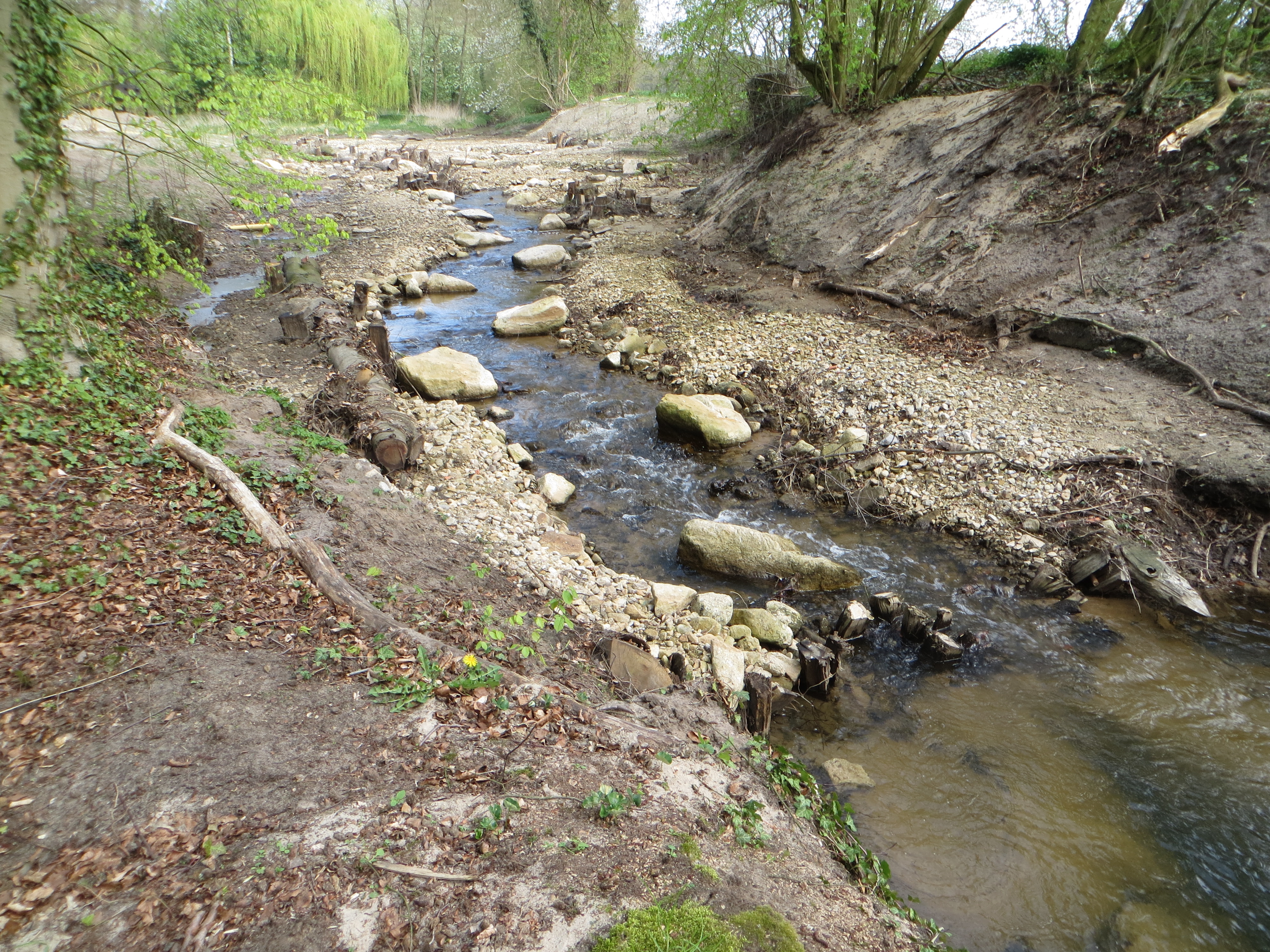 Zu sehen ist ein 1,5 bis 2 m breiter Bach, der in einer langen Sohlgleite mit Störsteinen und Totholzelementen geschwungen verläuft. Die Ufer und Böschungen sind naturnah gestaltet und noch vegetationsfrei, da die Bildaufnahme kurz nach der Fertigstellung der Baumaßnahme erfolgte. 