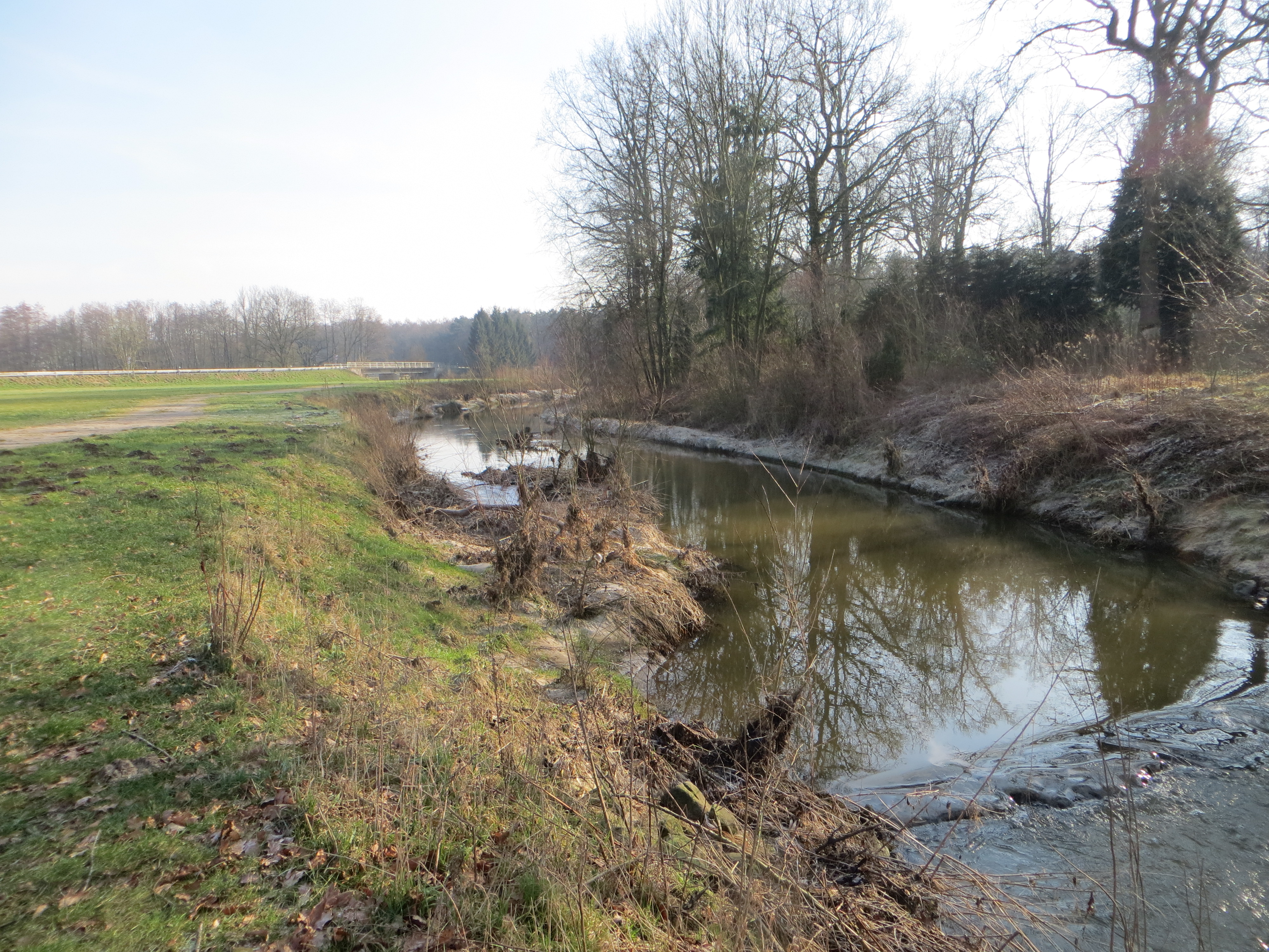 Zu sehen ist ein Abschnitt des Umgehungsgerinnes an der Füchtelner Mühle in Olfen, das als naturnahe Gewässerstrecke wurde. 