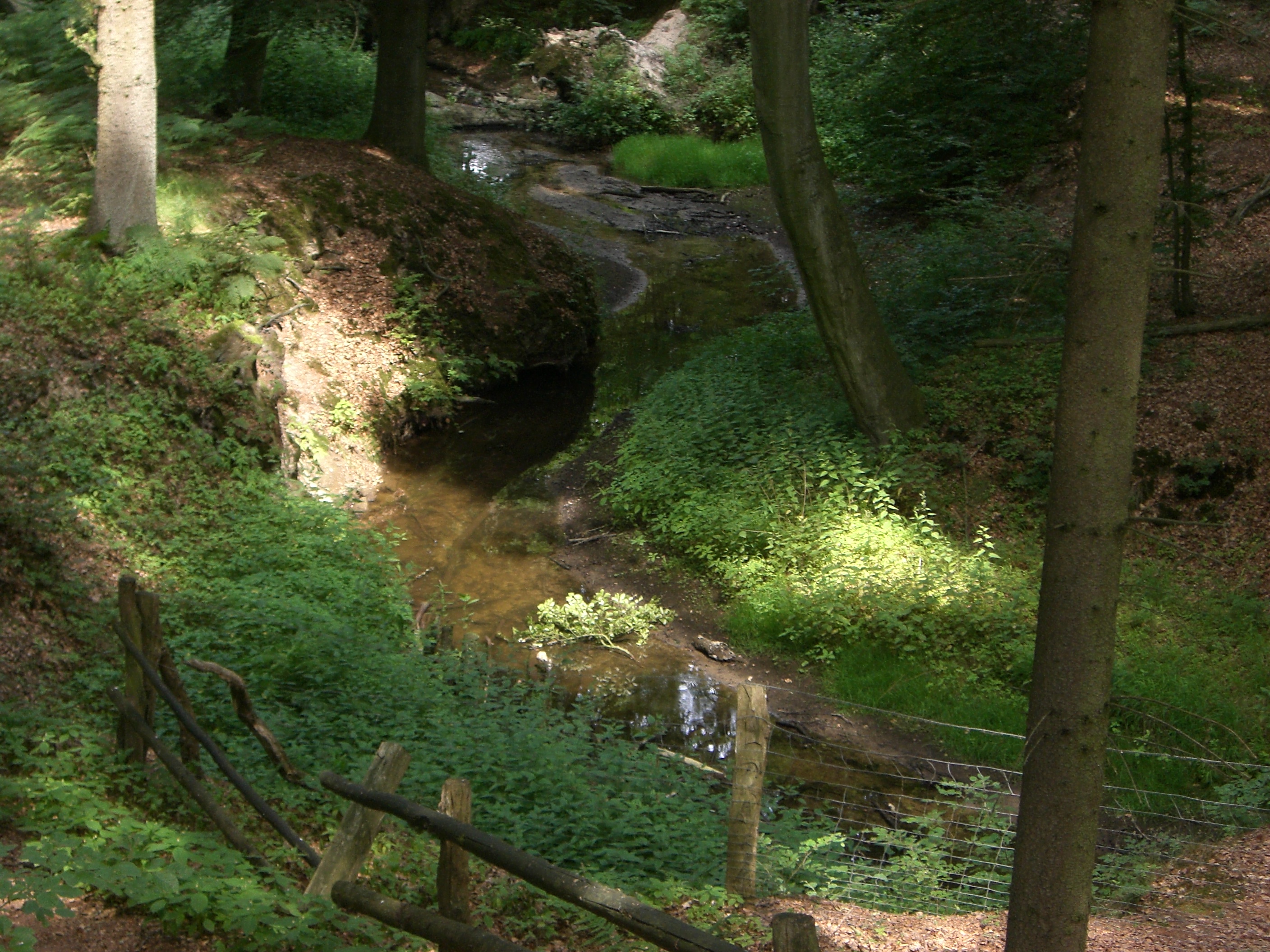 Zu sehen ist ein naturnaher Abschnitt des Gellenbachs innerhalb des Naturschutzgebiets "Bockholter Berge". Der bach verläuft stark geschwungen durch einen Laubwald, der für Schatten sorgt. Die Sohle des Gewässers ist vielgestaltig, an den Ufern sind Prall- und Gleithänge zu sehen.
