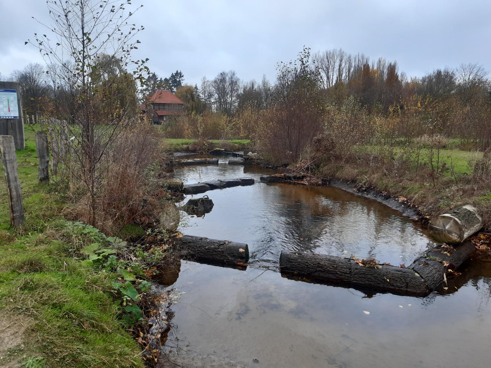 Zu sehen ist ein Abschnitt des Umgehungsgerinne zur Herstellung der Durchgängigkeit an der Plagemanns Mühle in Metelen in Riegelbauweise. Die Becken des Umgehungsgerinnes wurden im Wechsel mit Blocksteinen und Holzstämmen angelegt. 
