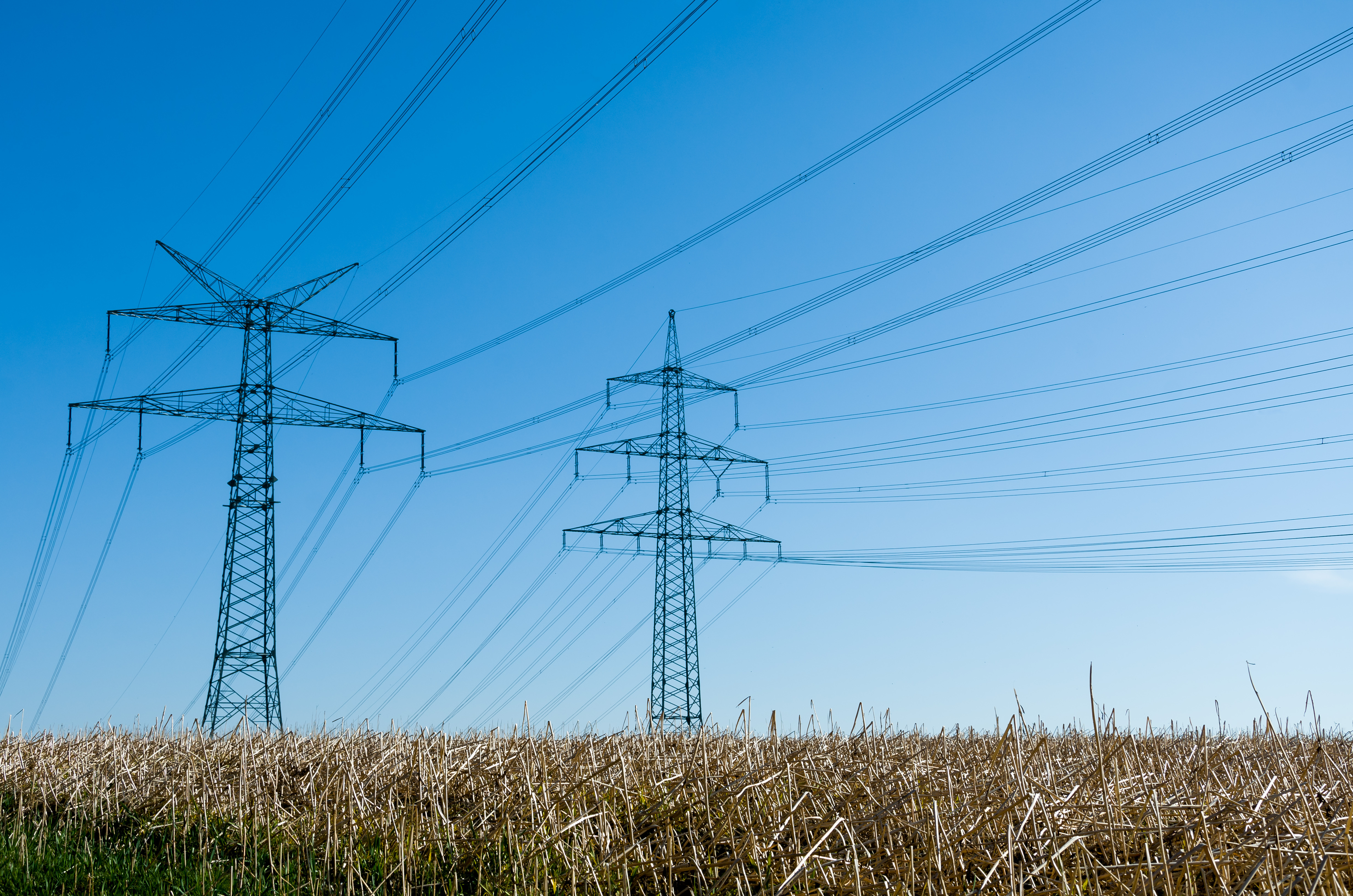 Hochspannungsleitungen über einem Feld
