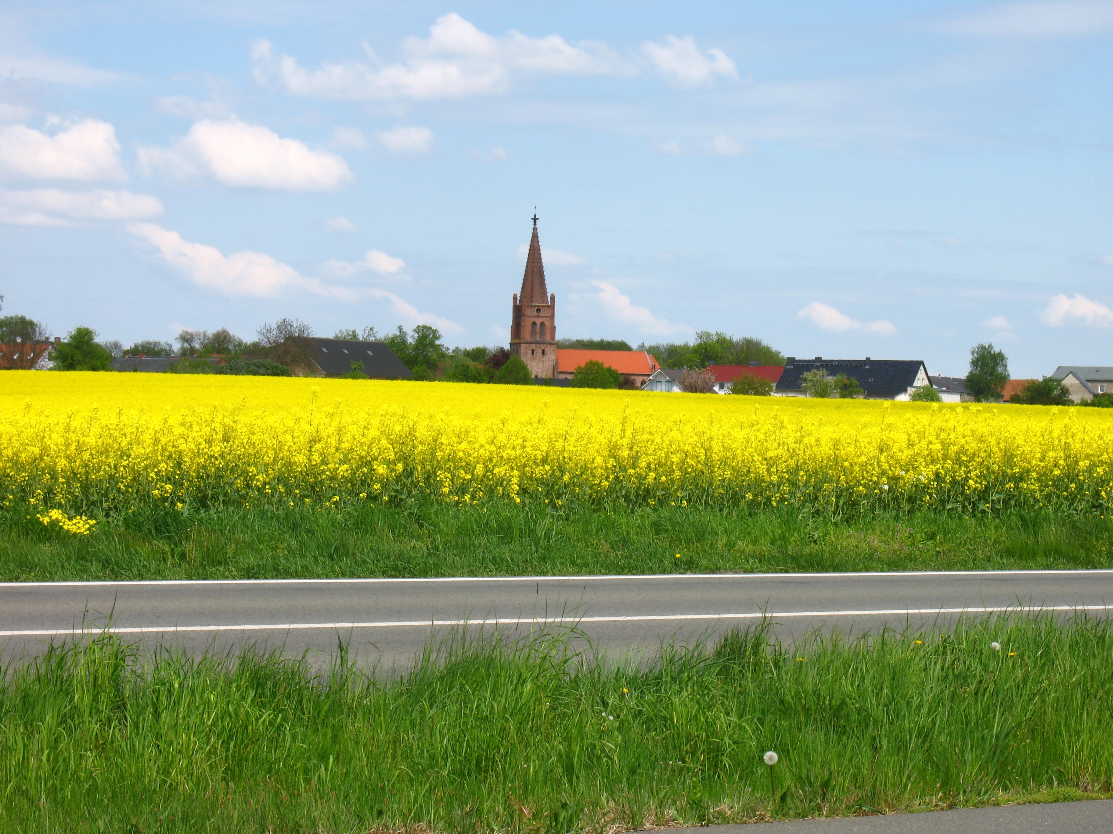 Straße vor Rapsfeld und dörflicher Siedlung mit Kirchturm