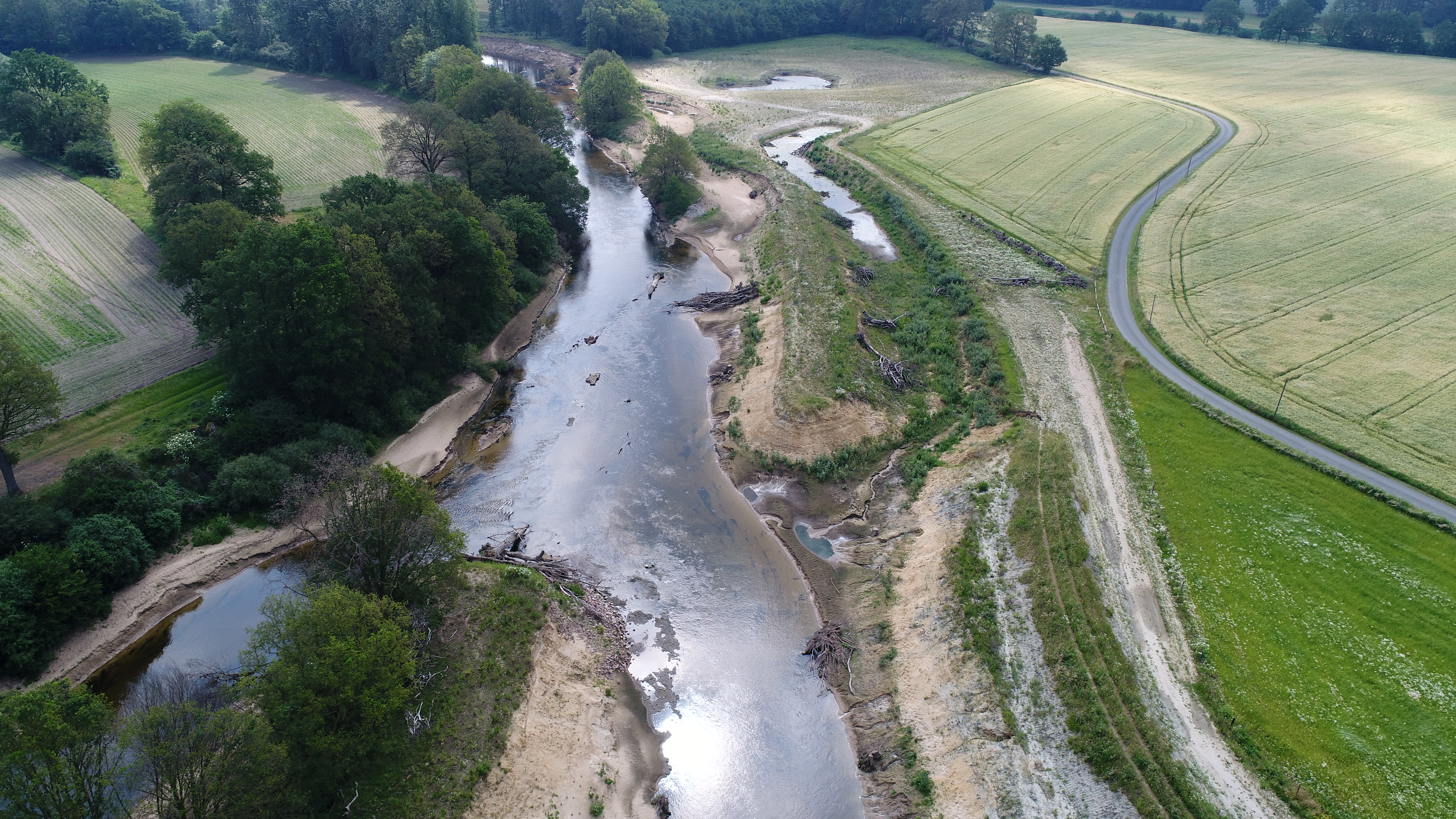 Drohnenaufnahme eines renaturierten Emsabschnittes in Hembergen 