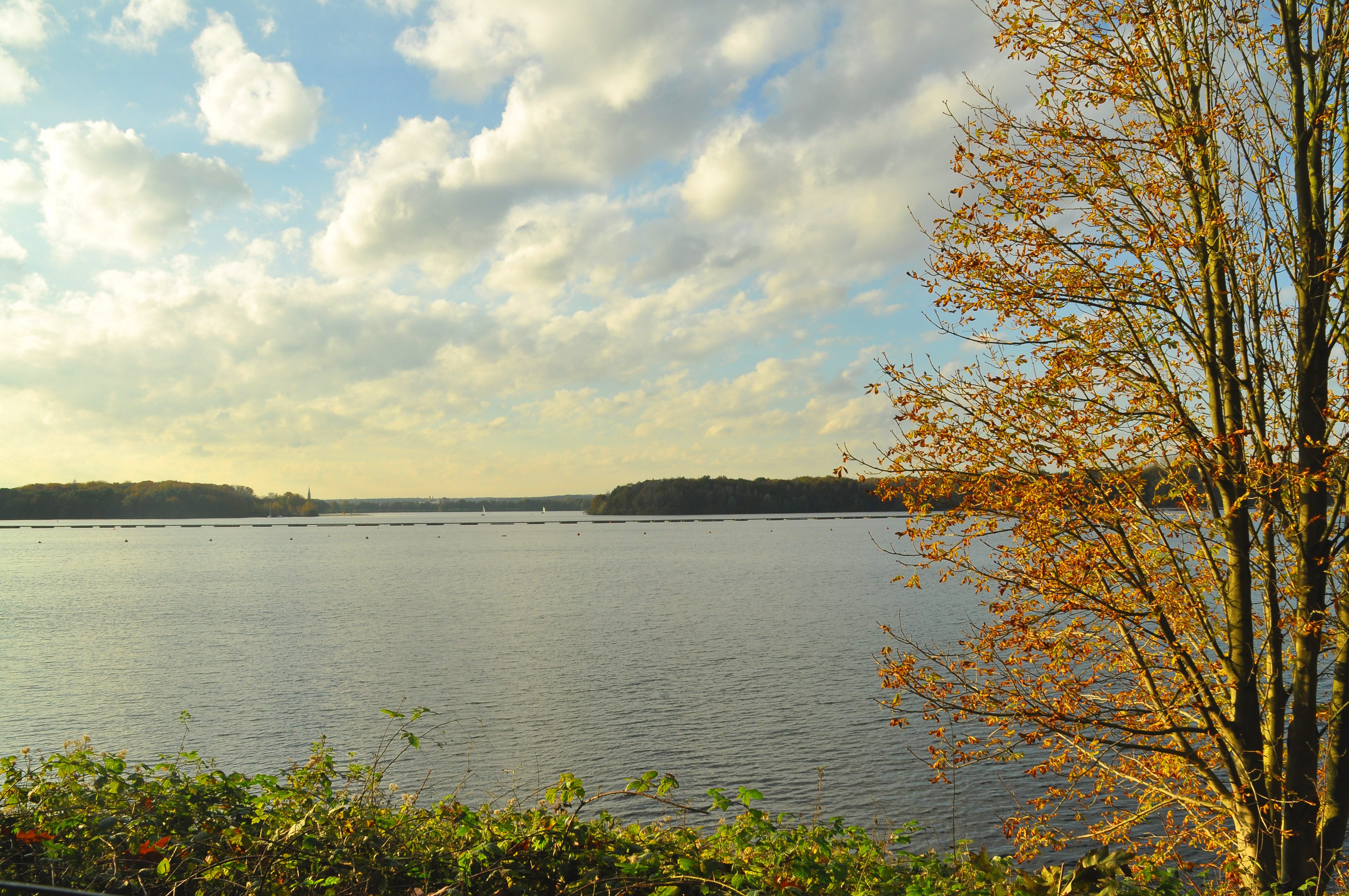Der Stausee in Haltern am See