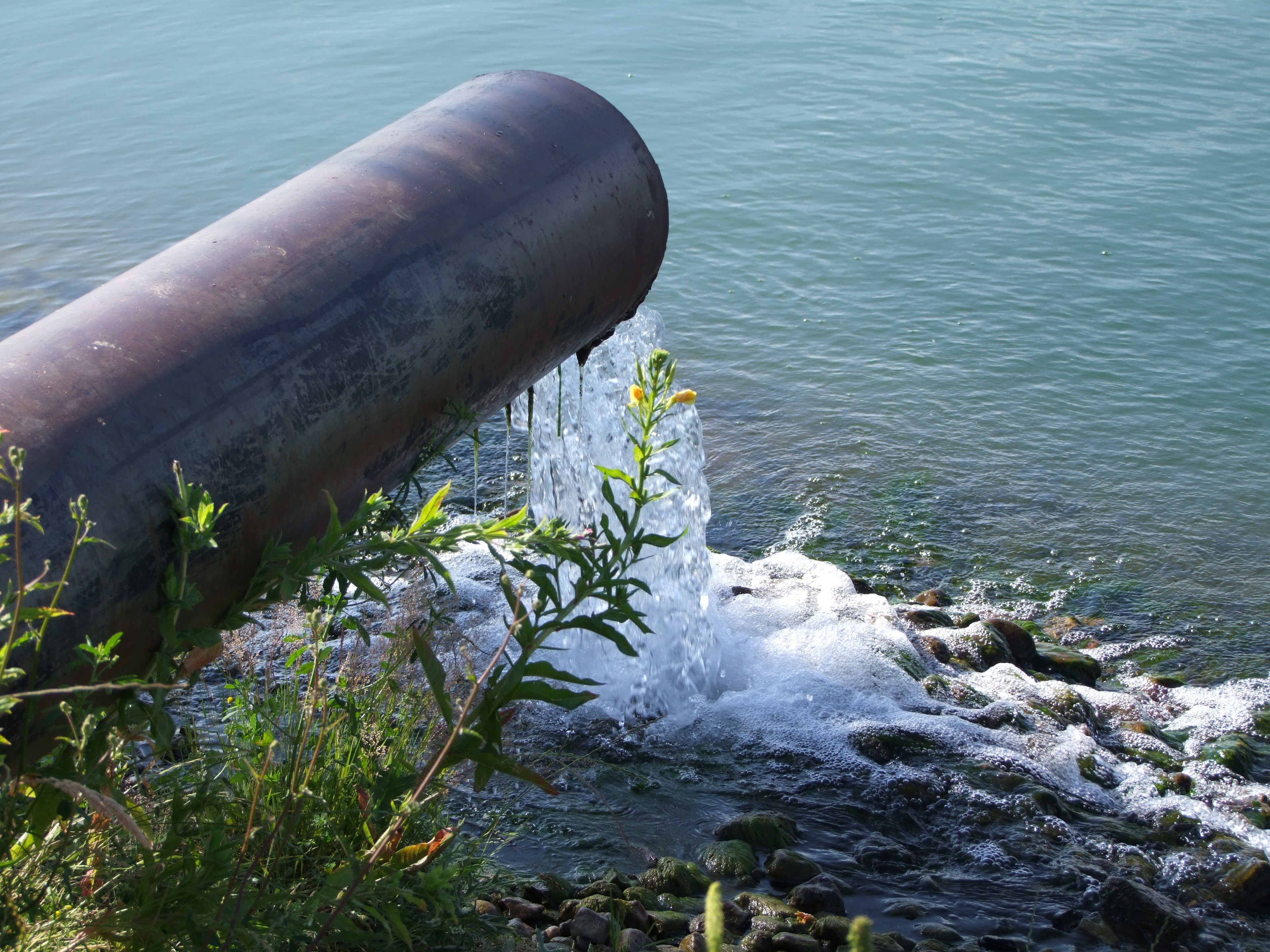 Das Foto zeigt ein wasserführendes Rohr mit ca. 50 cm Durchmesser, das oberhalb einer Gewässeroberfläche endet. Aus dem Rohr fließt Wasser in das Gewässer.