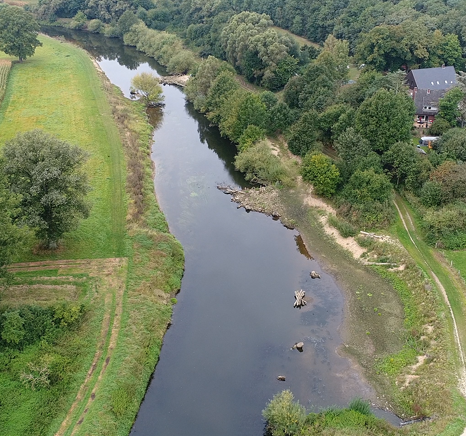 Überblick über die neu geschaffene Sekundäraue mit den zwei Buhnen ein Jahr nach Ende der Bauarbeiten. 