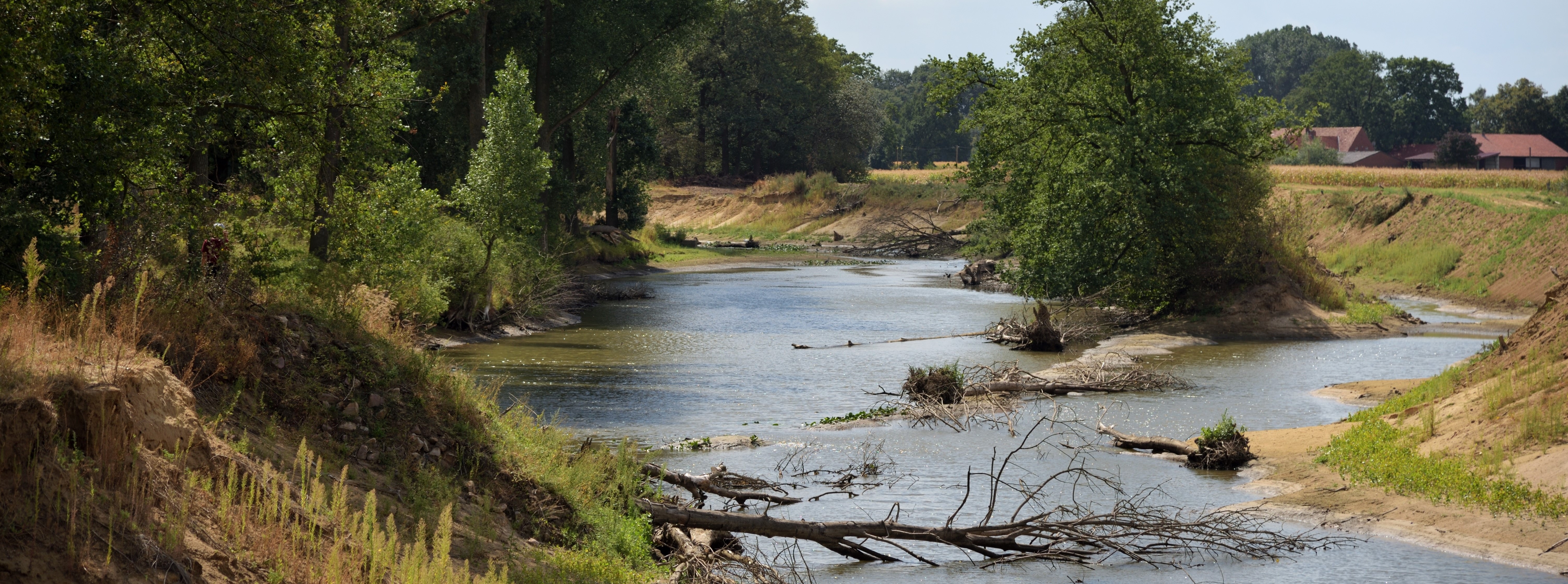 Steilufer an der Ems in Hembergen
