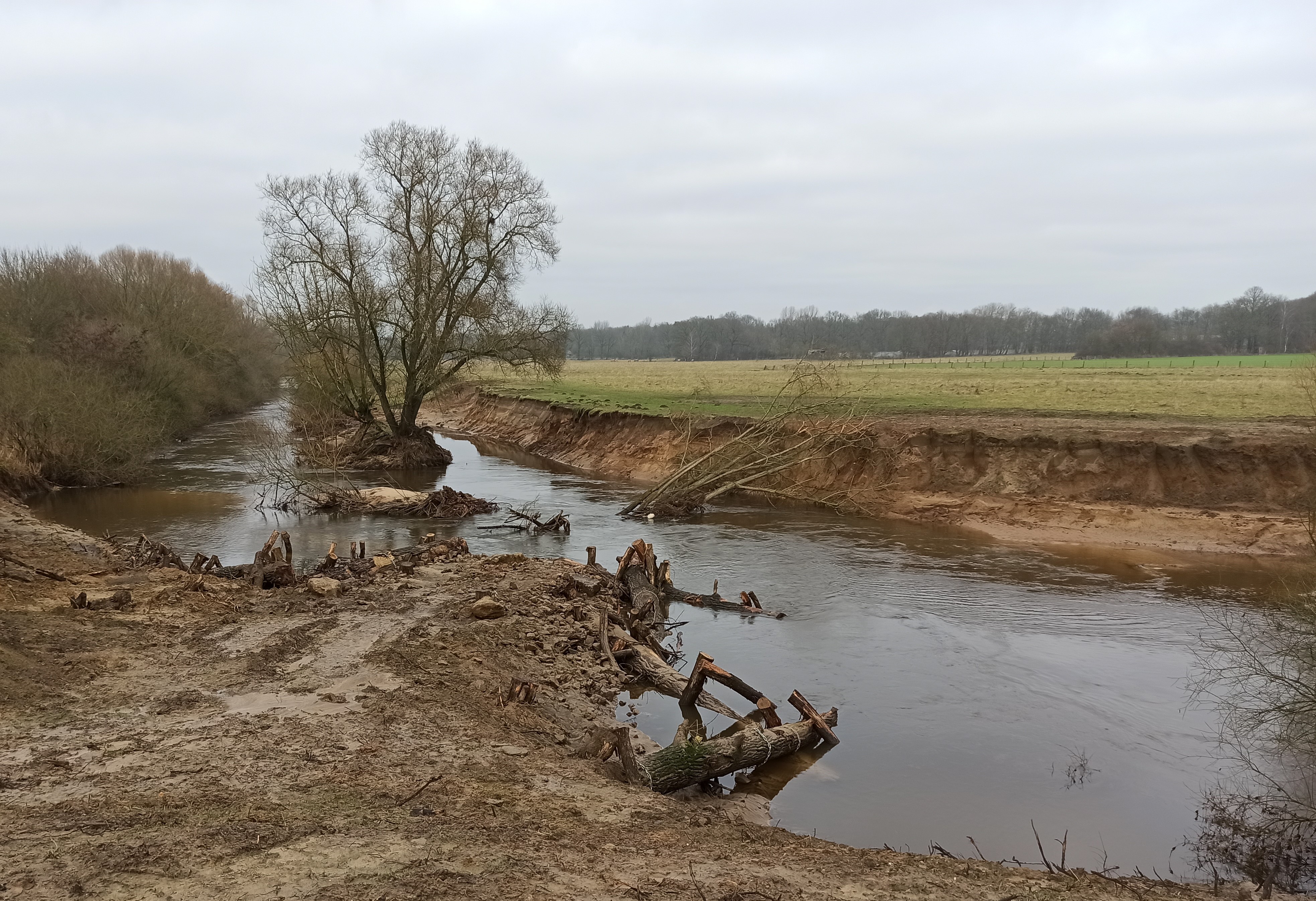 Blick auf Buhne und Aufweitung 