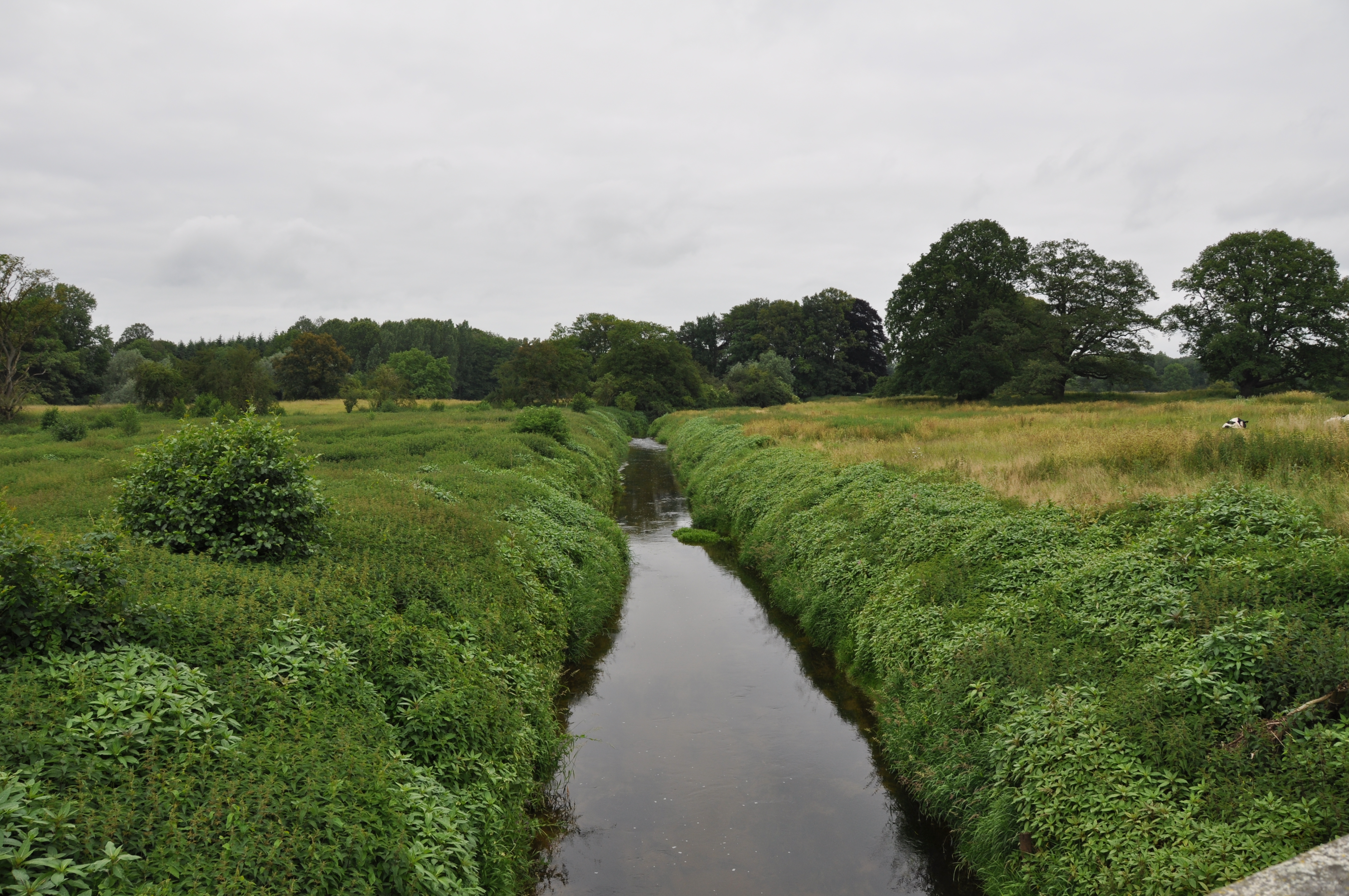 Blick auf die begradigte Bever vor der 