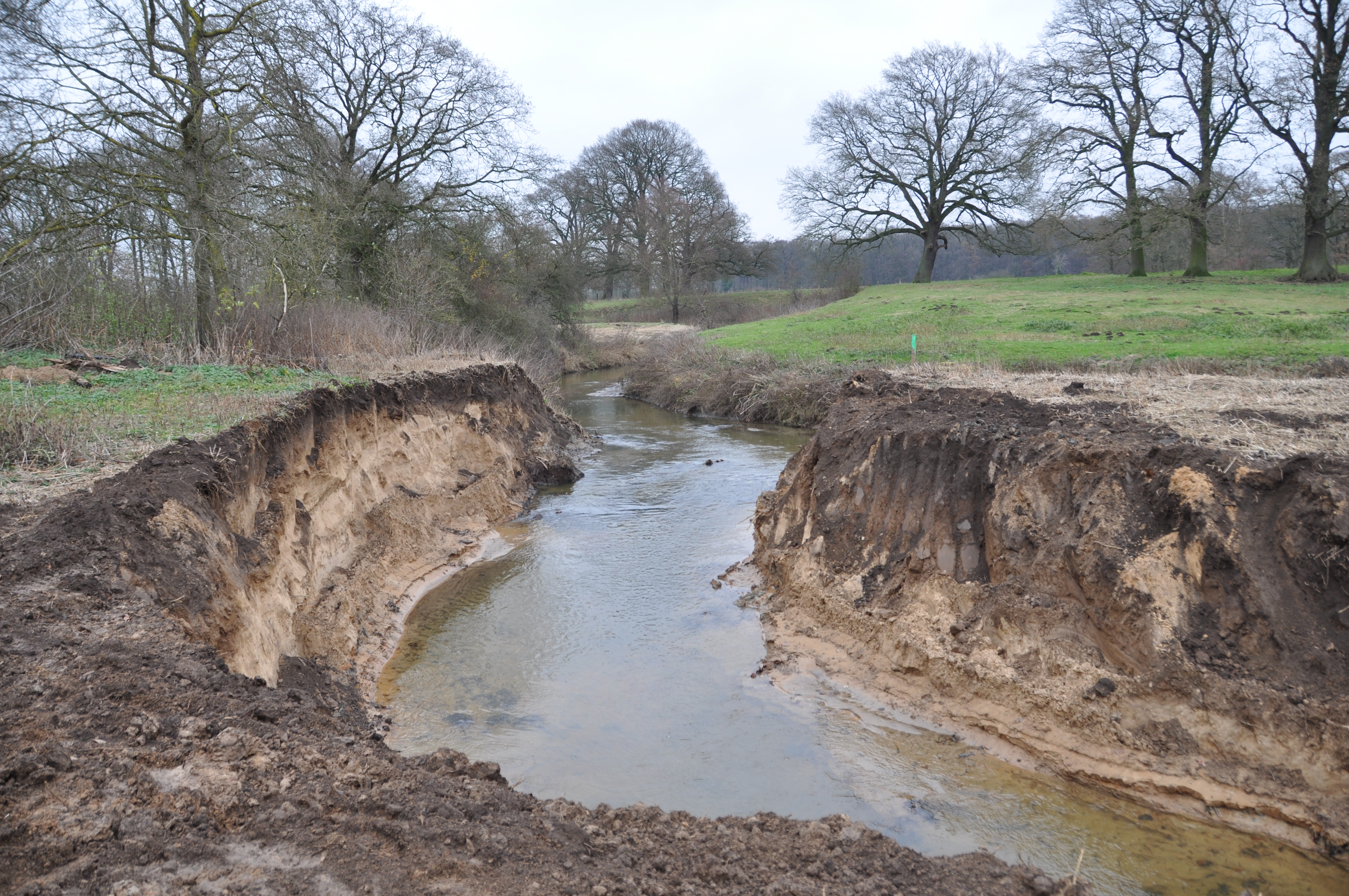 Ein neues Steilufer an der Bever entsteht 