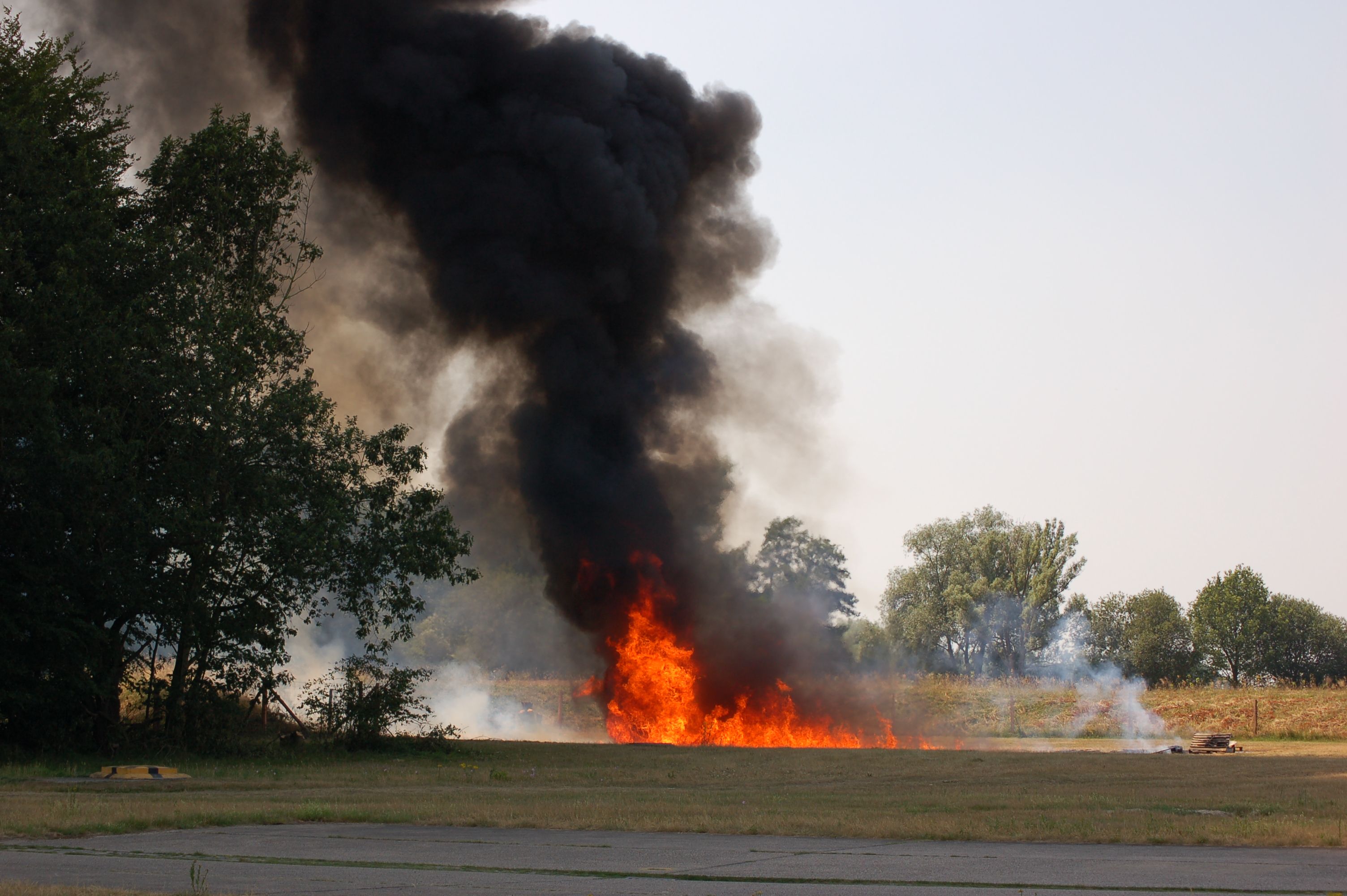 Feuer nahe eines Waldes