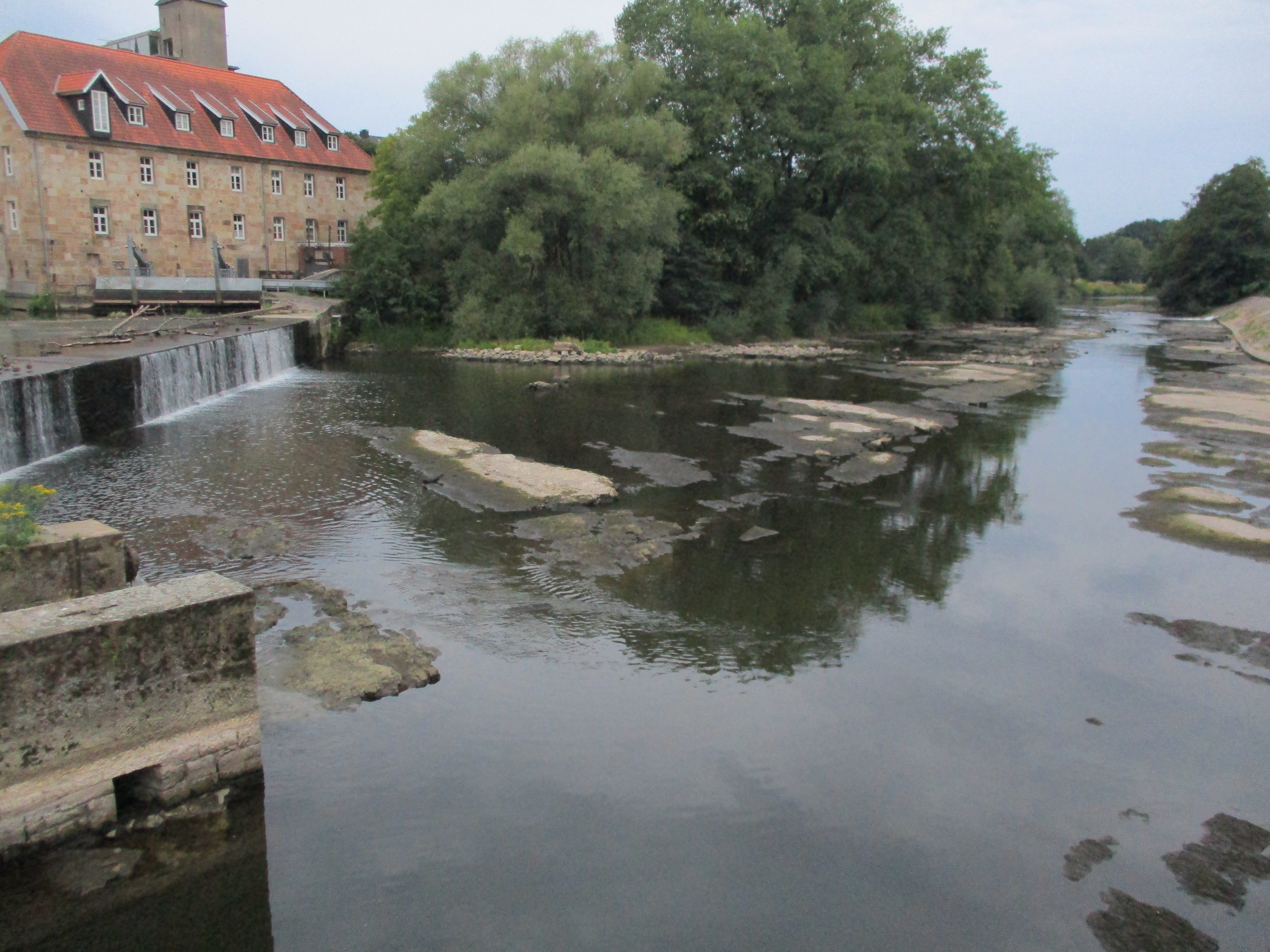 Blick auf die Felsschwelle unterhalb des Wehrs Rheine bei Niedrigwasser (August 2018). 