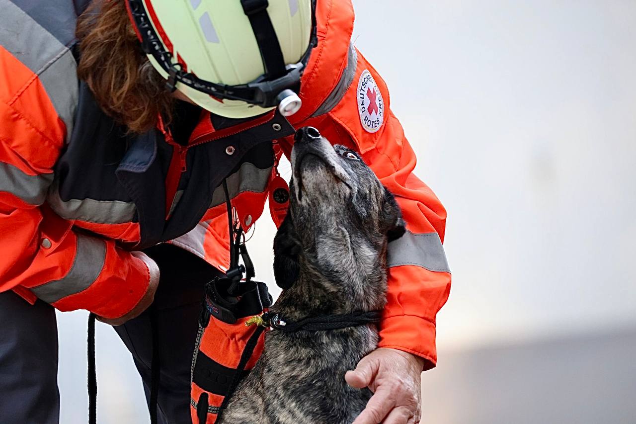 Hundeführerin mit Hund