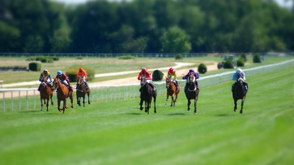 Mehrere Reiter:innen liefern sich ein Pferderennen