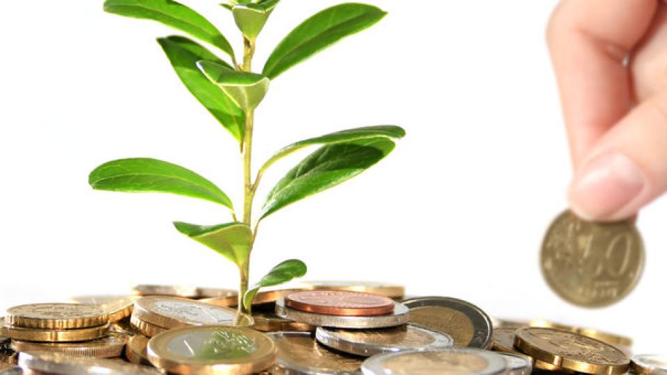 Am Boden liegen viele Münzen aus deinen ein kleiner grüner Baum wächst. Eine Hand hebt eine Münze auf.