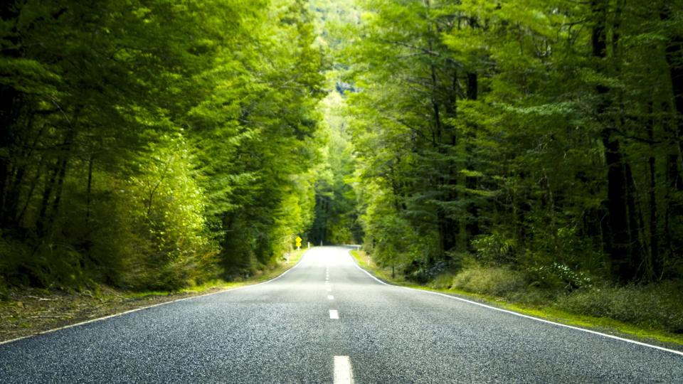 Landstraße durch grünen Wald