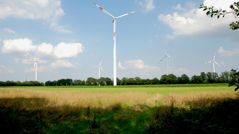 Windräder in der Landschaft