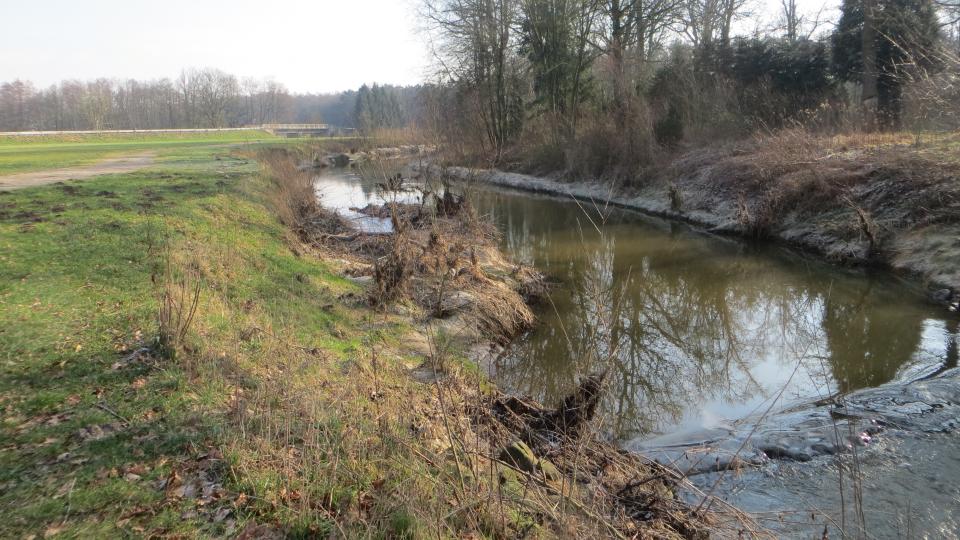 Zu sehen ist ein Abschnitt des Umgehungsgerinnes an der Füchtelner Mühle in Olfen, das als naturnahe Gewässerstrecke wurde. 