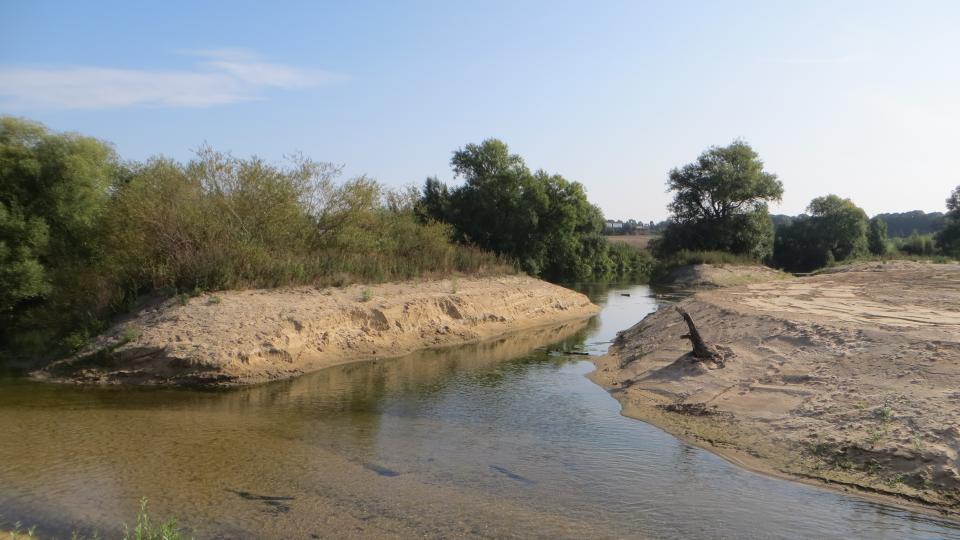 Zu sehen ist der neu gestaltete Mündungsbereich des Dattelner Mühlenbachs in die Lippe, die im hinteren Bereich des Bildes vor der Baumreihe verläuft. Im neuen Mündungsbereich soll eine kleine Auenlandschaft entstehen. Hierzu wurde der Bach auf 350 Meter Länge aufgeweitet und zwei Sohlgleiten sorgen dafür, dass der Dattelner Mühlenbach hindernisfrei in die Lippe fließen kann. Die Ufer und Böschungen sind kurz nach Abschluss der Bauarbeiten noch frei von Vegetation. 