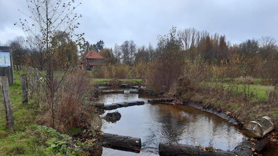 Zu sehen ist ein Abschnitt des Umgehungsgerinne zur Herstellung der Durchgängigkeit an der Plagemanns Mühle in Metelen in Riegelbauweise. Die Becken des Umgehungsgerinnes wurden im Wechsel mit Blocksteinen und Holzstämmen angelegt. 