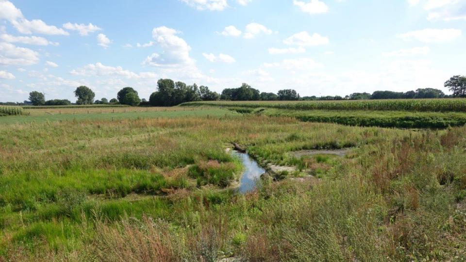 Zu sehen ist der Emrichbach in Vreden, der innerhalb einer neu gestalteten Sekundäraue der im Hintergrund verlaufenden Berkel zufließt. Das Umfeld ist landwirtschaftlich geprägt. 