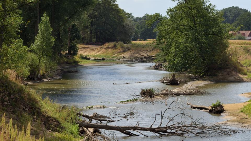 Steilufer an der Ems in Hembergen