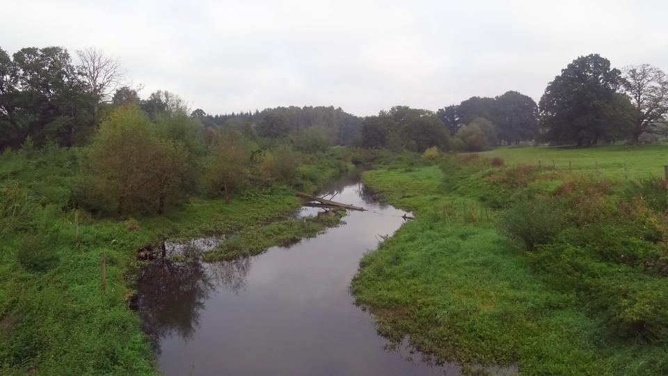 Die Entwicklung der Bever vier Jahre nach dem Umbau mit geschwungenem Verlauf und Totholz
