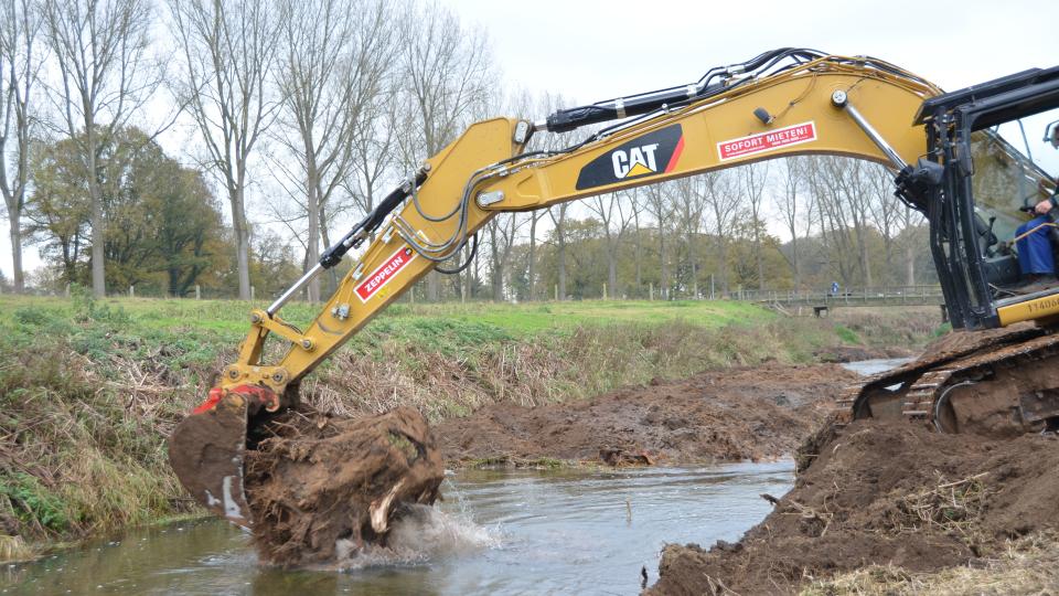 Der Bagger bringt Stubben als Totholzelement ein 