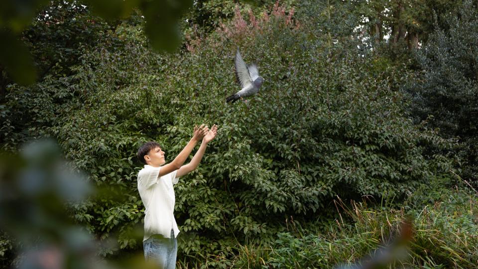 Ein Jugendlicher streckt die Arme aus und lässt eine Taube fliegen.