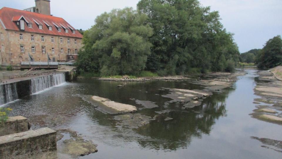 Blick auf die Felsschwelle unterhalb des Wehrs Rheine bei Niedrigwasser (August 2018). 