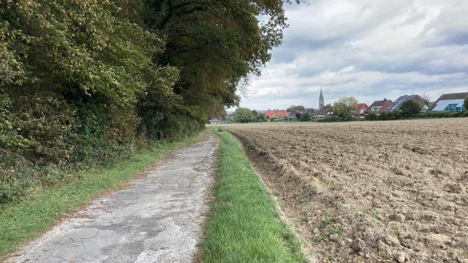 Feld mit Weg