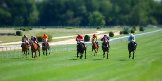 Mehrere Reiter:innen liefern sich ein Pferderennen