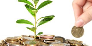 Am Boden liegen viele Münzen aus deinen ein kleiner grüner Baum wächst. Eine Hand hebt eine Münze auf.