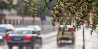 Autos auf der Straße mit eingeschalteten Rücklichtern