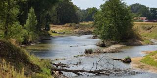 Steilufer an der Ems in Hembergen