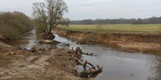 Blick auf Buhne und Aufweitung 