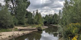 Landschaft mit Ufer und Fluss